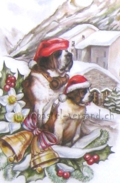 3D Schnittbogen Bernhardiner