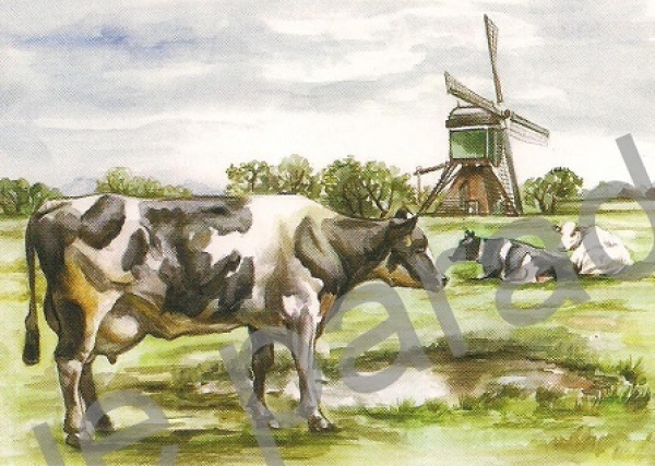 3D Schnittbogen Kühe