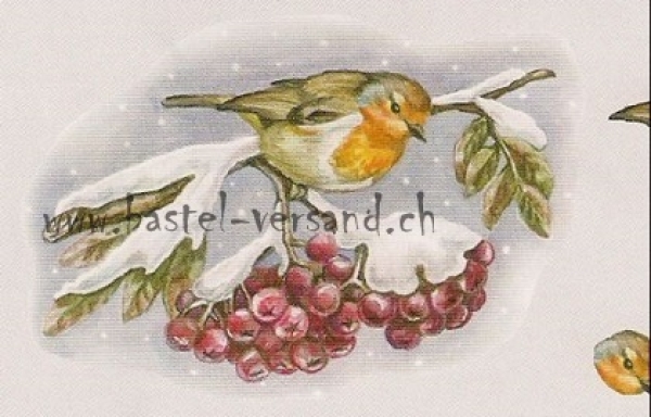 3D Schnittbogen Vögel am Futter