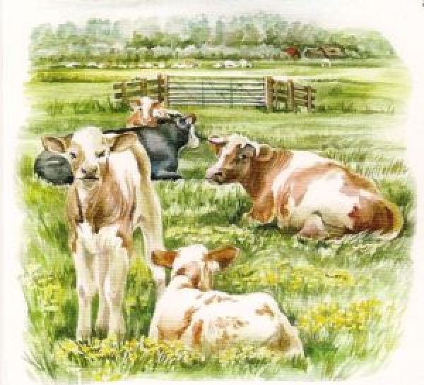 3D Schnittbogen Kühe und Kälber