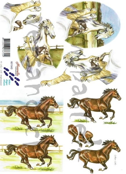 3D Schnittbogen Pferde