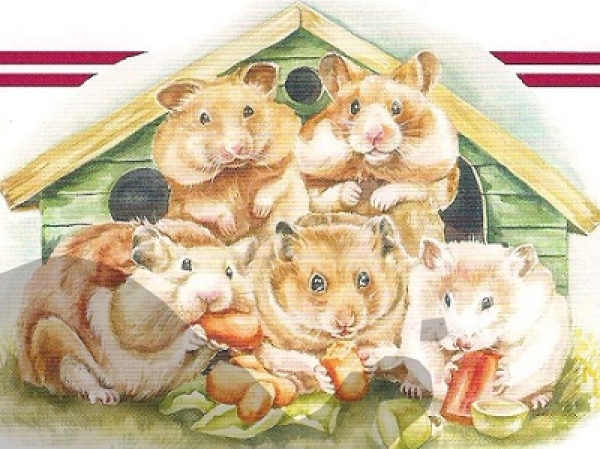 3D Schnittbogen Hamster