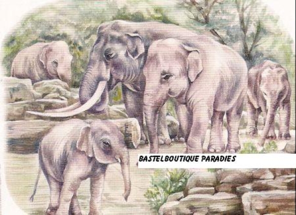 3D Schnittbogen Elefanten