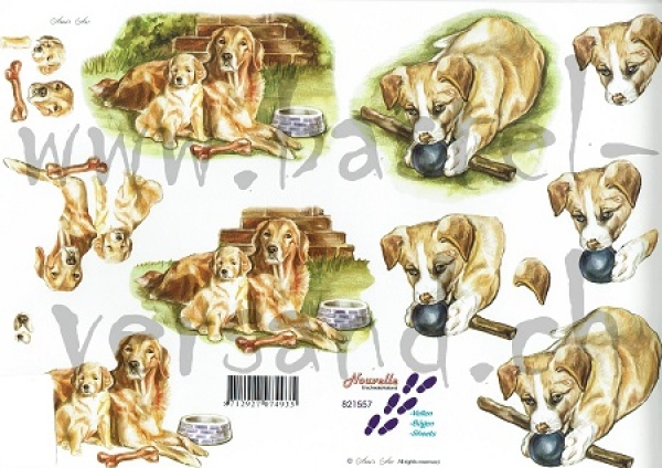3D Schnittbogen Golden Retriever