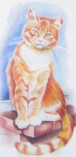 3D Schnittbogen Katzen