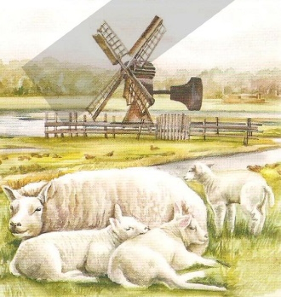 3D Schnittbogen Schafe