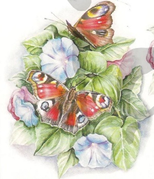 3D Schnittbogen Schmetterlinge