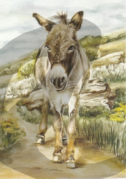 3D Schnittbogen Esel