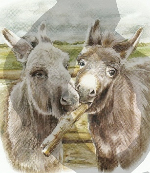 3D Schnittbogen Esel