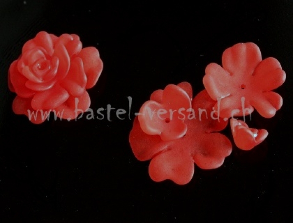 - Kopie - Kopie - Kopie - Kopie