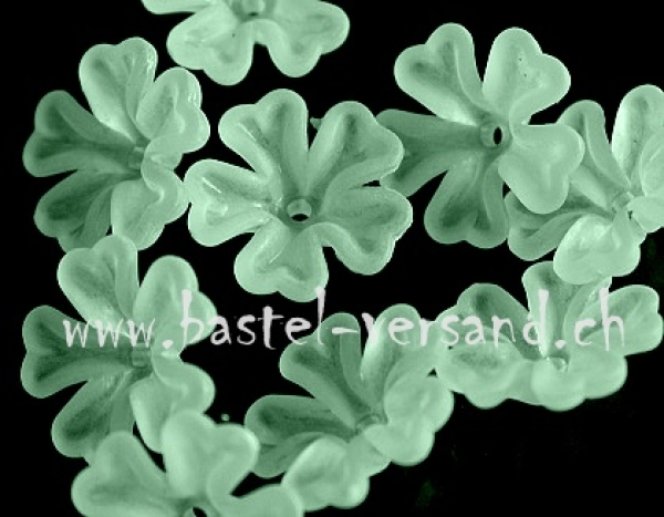 - Kopie - Kopie - Kopie - Kopie - Kopie - Kopie - Kopie