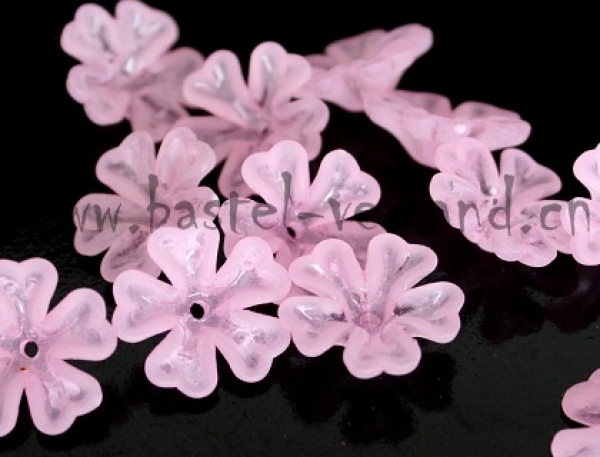 - Kopie - Kopie - Kopie - Kopie - Kopie - Kopie - Kopie - Kopie - Kopie