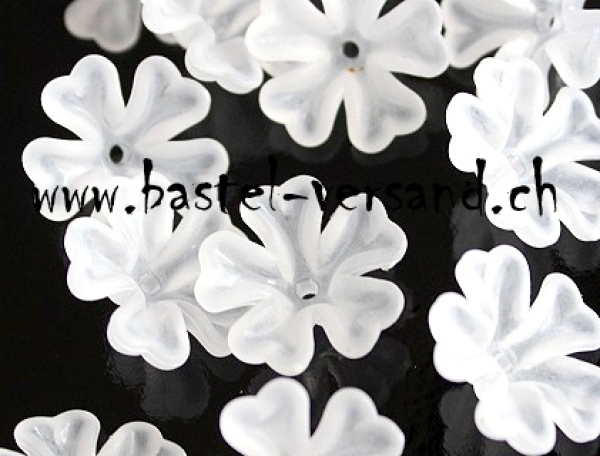 - Kopie - Kopie - Kopie - Kopie - Kopie - Kopie - Kopie - Kopie