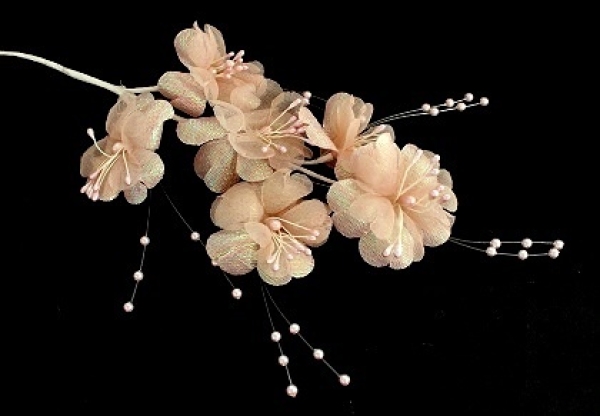 Brautblüte lachs irisierend