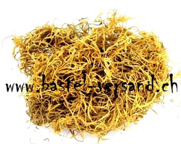 Dschungelgras goldgelb