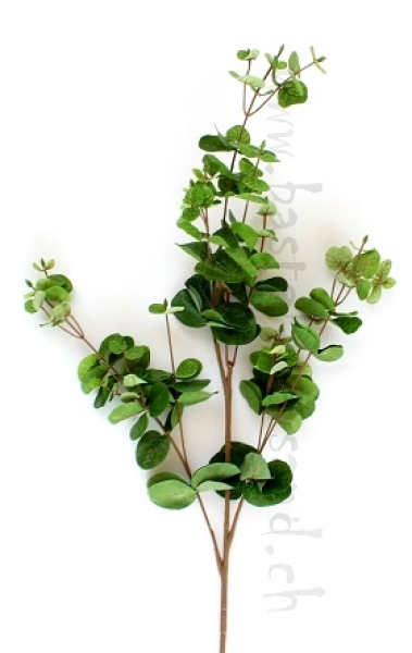 - Kopie - Kopie - Kopie