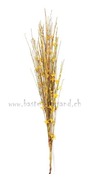 Sternblütenzweig gelb