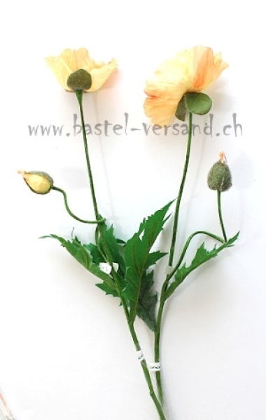 Mohn gelb (2Stk.)