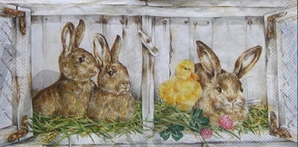 Serviette hase im stall