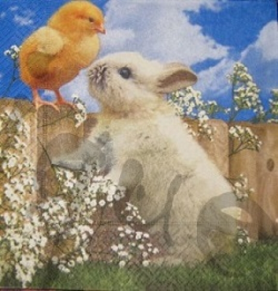 Serviette häsli mit küken