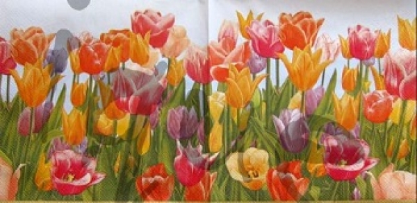 Serviette tulpen