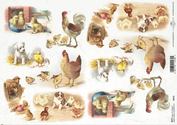 - Kopie - Kopie - Kopie - Kopie - Kopie - Kopie