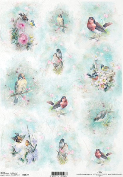 - Kopie - Kopie - Kopie - Kopie