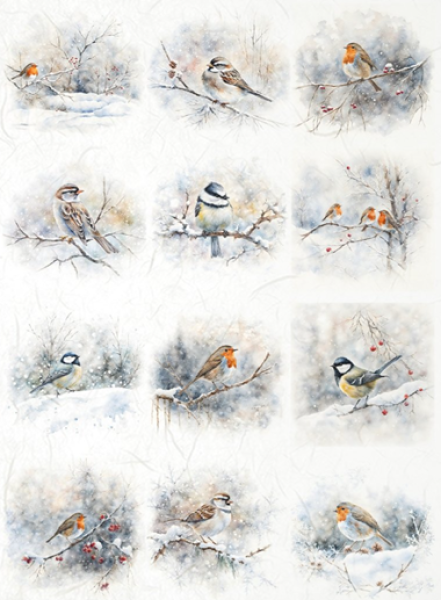 - Kopie - Kopie - Kopie - Kopie - Kopie - Kopie