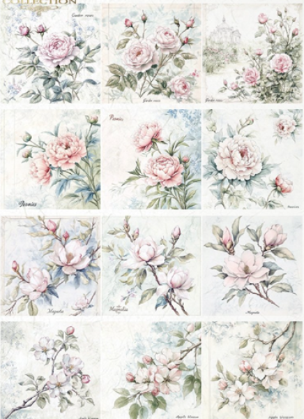 - Kopie - Kopie - Kopie - Kopie