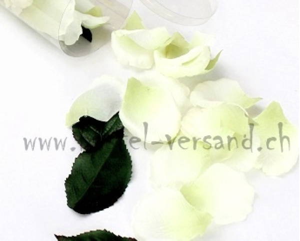Rosenblätter weiss