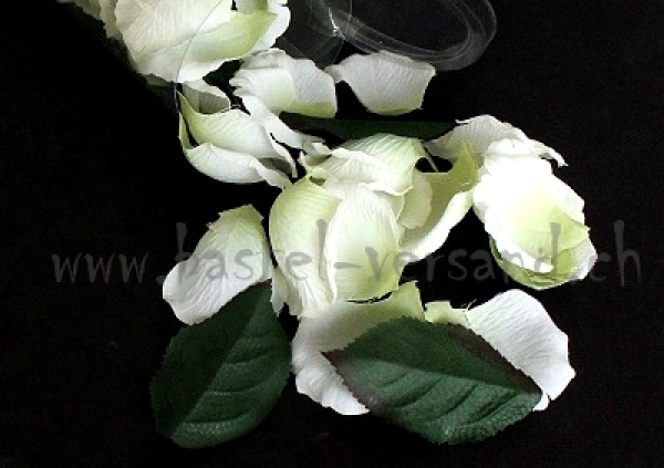 Rosenblätter weiss