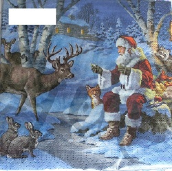 Serviette santa in forest