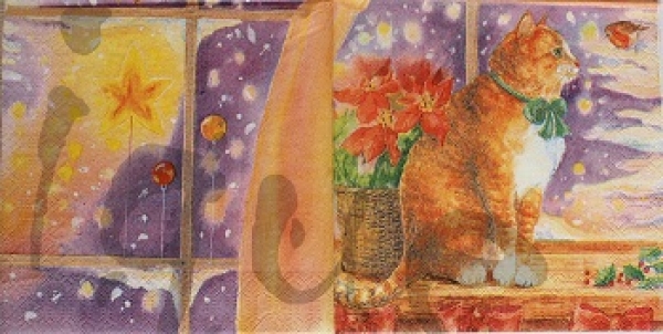 Serviette katze am fenster