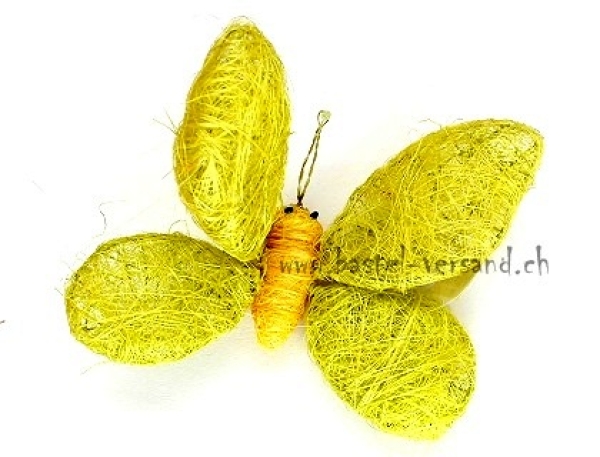 Sisalschmetterling grün