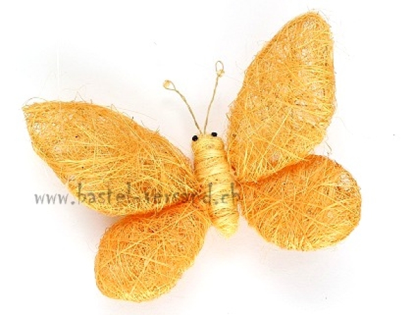 Sisalschmetterling orange