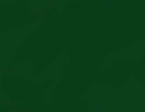 Tonzeichenpapier A4 tannengrün