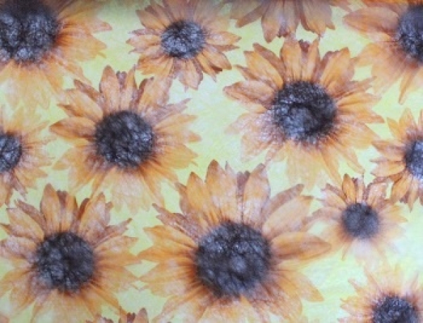 Vlies Sonnenblumen