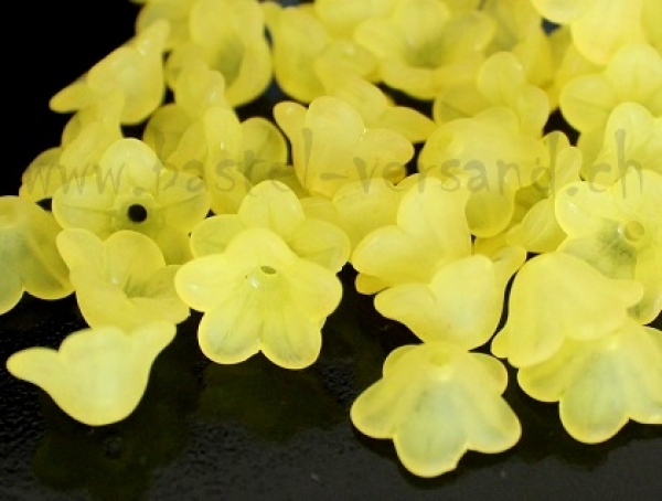 - Kopie - Kopie - Kopie - Kopie - Kopie