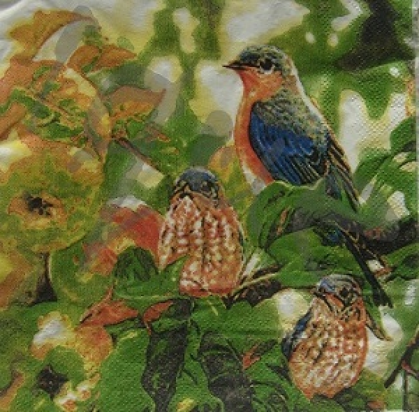 - Kopie - Kopie - Kopie - Kopie - Kopie - Kopie