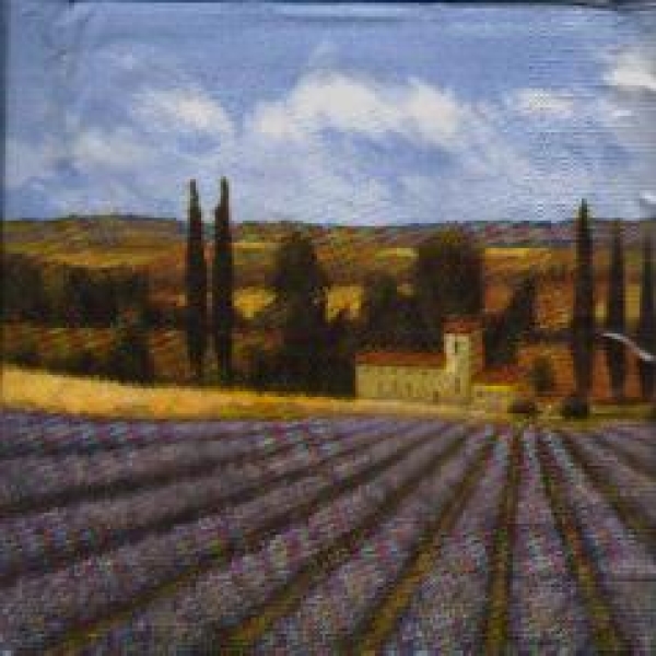 Serviette lavender field