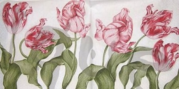 Serviette papageitulpen