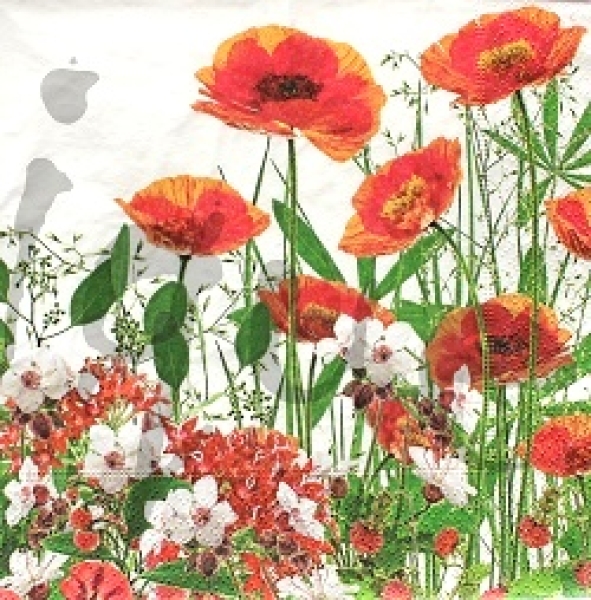 Serviette mohn