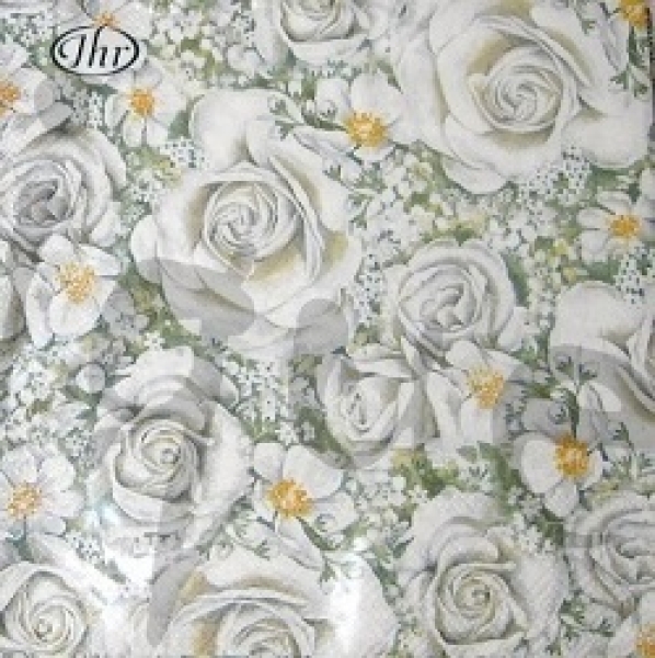 - Kopie - Kopie - Kopie - Kopie - Kopie