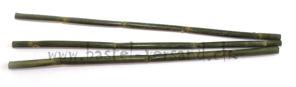 Bambusstab grün
