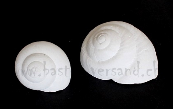 Beton Schnecke gross