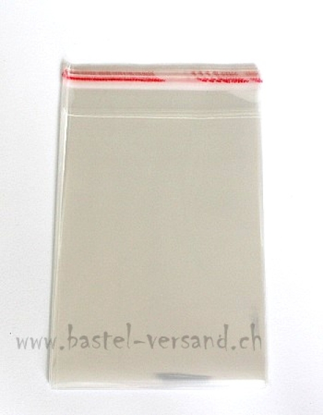 Plastic-Beutel mit Selbstklebeverschluss (100Stk.)