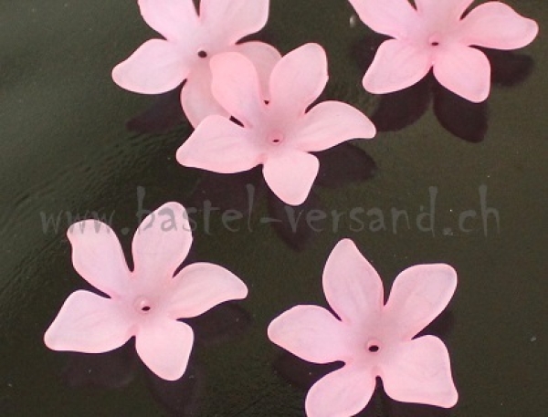 Acryl Blume 28mm rosa