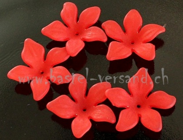 - Kopie - Kopie - Kopie - Kopie - Kopie - Kopie