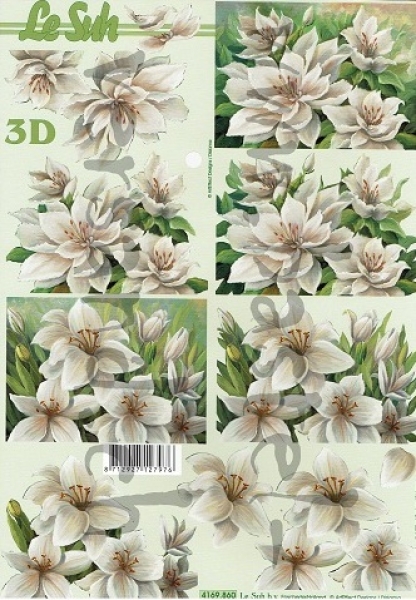 3D Schnittbogen weisse Blumen