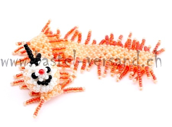 Buchzeichen Tatzelwurm lachs